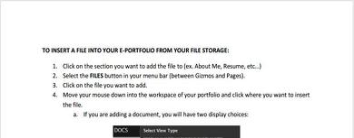 how_to_insert_file_from_storage.pdf