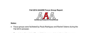 FA 14 AAA090 Focus Group Report For AAA Instructors.docx